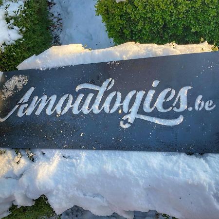 Villa Amoulogies Amougies Eksteriør bilde